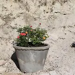 住宿加早餐酒店 拉旺达罗斯玛丽诺住宿加早餐酒店 3*