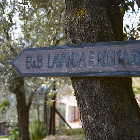 Bed & Breakfast Lavanda E Rosmarino Assisi