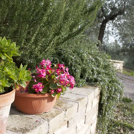 Lavanda E Rosmarino Отель типа 