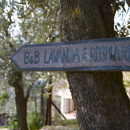 住宿加早餐酒店 拉旺达罗斯玛丽诺住宿加早餐酒店