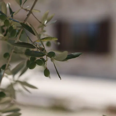 Lavanda E Rosmarino 3* Ассизи