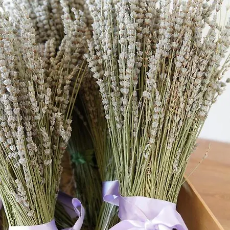Lavanda E Rosmarino Ассизи