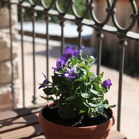 Lavanda E Rosmarino Отель типа 