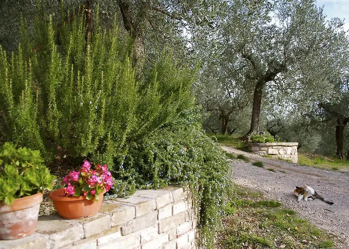 住宿加早餐酒店 拉旺达罗斯玛丽诺住宿加早餐酒店 3*