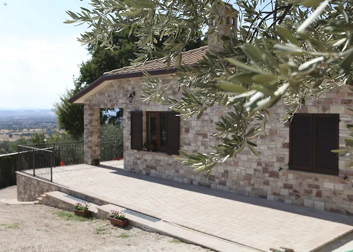 Lavanda E Rosmarino Asís