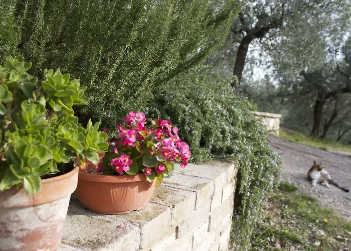 Lavanda E Rosmarino Bed and breakfast