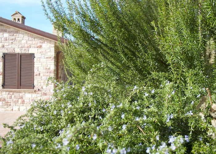Bed and breakfast Lavanda E Rosmarino Asís
