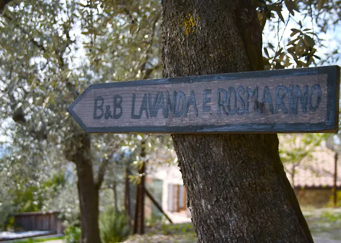Bed and breakfast Lavanda E Rosmarino