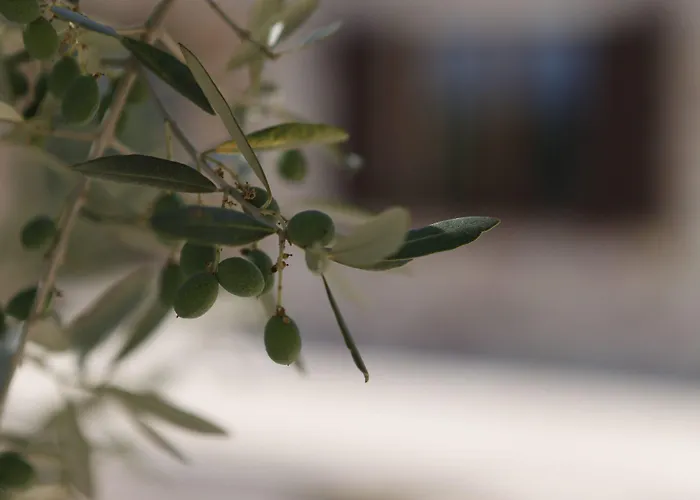 Lavanda E Rosmarino 3* Assisi
