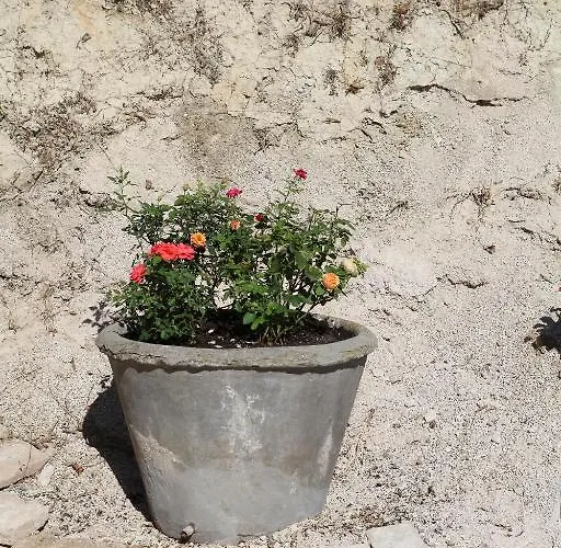 Bed & Breakfast Lavanda E Rosmarino 3*