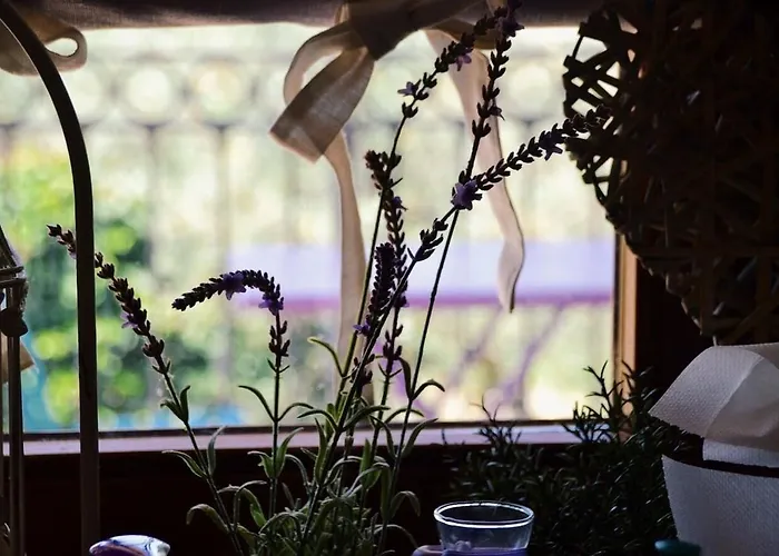 Bed & Breakfast Lavanda E Rosmarino